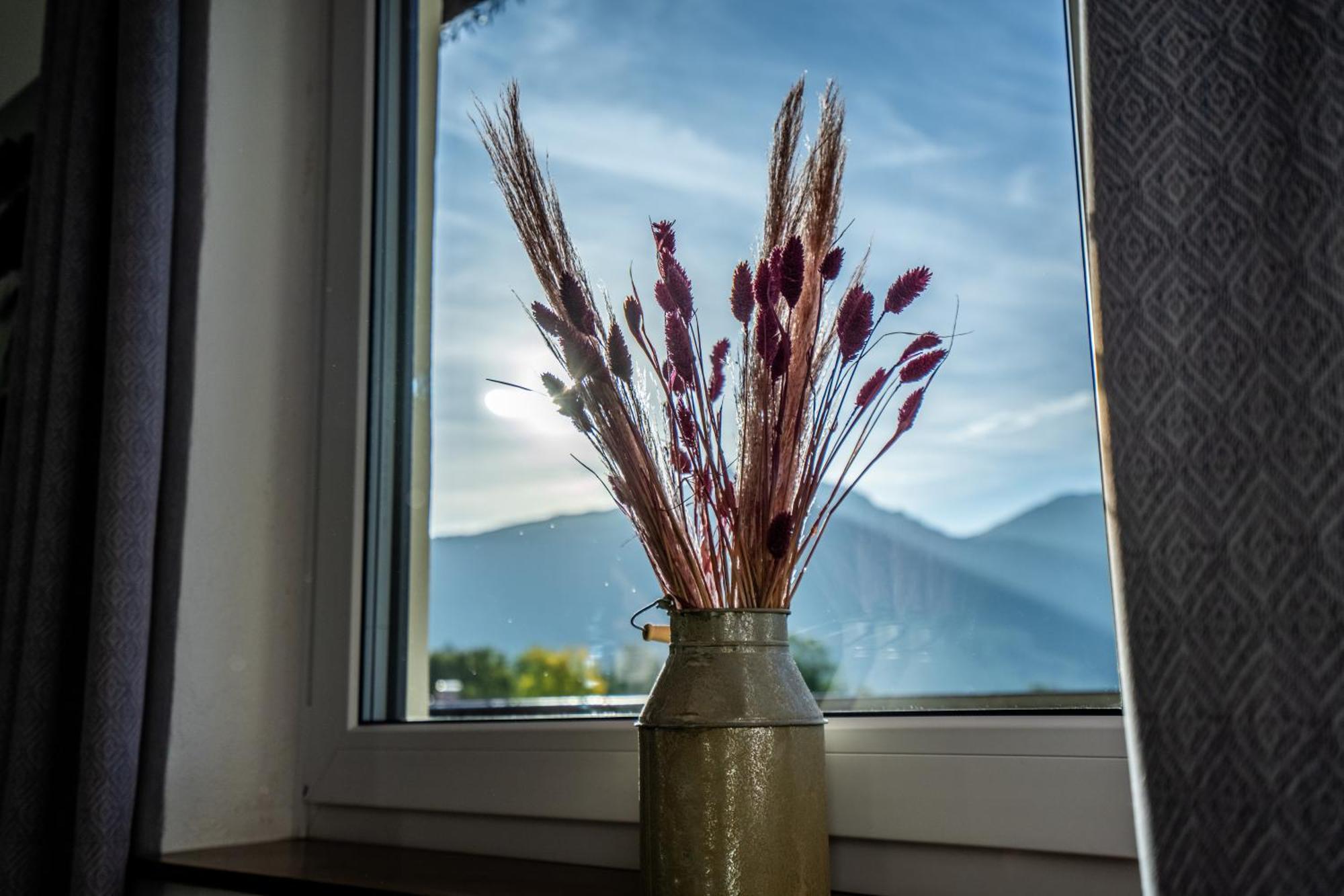 Tiroler Alpblick Appartements Ehrwald Bagian luar foto